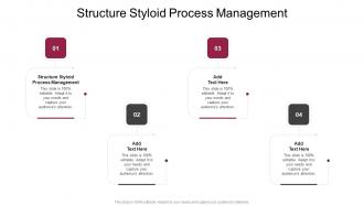 Structure Styloid Process Management In Powerpoint And Google Slides Cpb