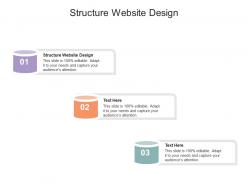 Structure website design ppt powerpoint presentation infographics graphics template cpb