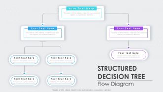 Structured Decision Tree Flow Diagram Infographic Powerpoint Template