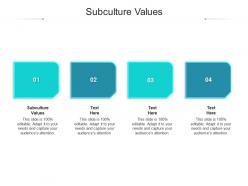 Subculture values ppt powerpoint presentation layouts objects cpb