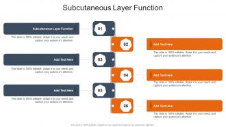 Subcutaneous Layer Function In Powerpoint And Google Slides Cpb