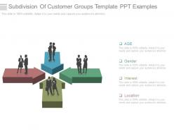 Subdivision of customer groups template ppt examples