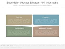 Subdivision process diagram ppt infographic