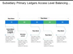Subsidiary Primary Ledgers Access Level Balancing Segments Value