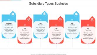 Subsidiary Types Business In Powerpoint And Google Slides Cpb