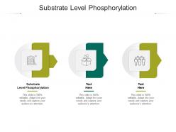 Substrate level phosphorylation ppt powerpoint presentation gallery icons cpb