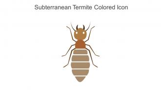 Subterranean Termite Colored Icon In Powerpoint Pptx Png And Editable Eps Format