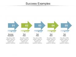Success examples ppt powerpoint presentation portfolio structure cpb