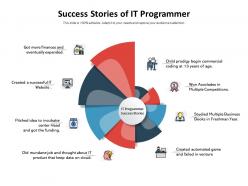 Success stories of it programmer