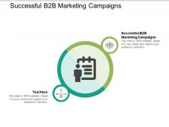 Successful b2b marketing campaigns ppt powerpoint presentation infographics clipart images cpb