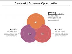 Successful business opportunities ppt powerpoint presentation portfolio outfit cpb
