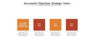 Successful objectives strategic vision ppt powerpoint presentation outline example topics cpb