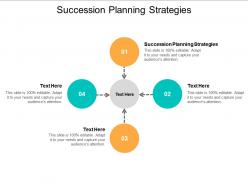 Succession planning strategies ppt powerpoint presentation ideas display cpb