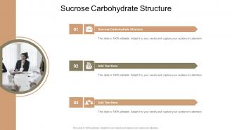Sucrose Carbohydrate Structure In Powerpoint And Google Slides Cpb