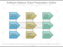 Sufficient balance sheet presentation outline