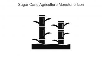 Sugar Cane Agriculture Monotone Icon In Powerpoint Pptx Png And Editable Eps Format