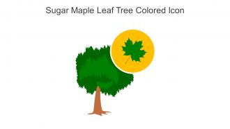 Sugar Maple Leaf Tree Colored Icon In Powerpoint Pptx Png And Editable Eps Format