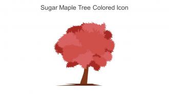 Sugar Maple Tree Colored Icon In Powerpoint Pptx Png And Editable Eps Format