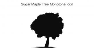 Sugar Maple Tree Monotone Icon In Powerpoint Pptx Png And Editable Eps Format