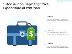 Suitcase icon depicting travel expenditure of past year