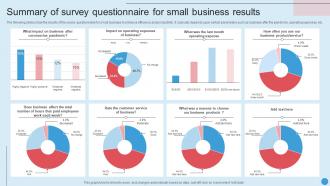 Summary Of Survey Questionnaire For Small Business Results Survey SS