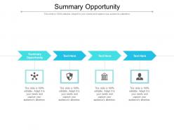 Summary opportunity ppt powerpoint presentation slides example file cpb