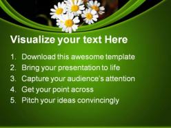 Summer daisies nature powerpoint templates and powerpoint backgrounds 0311