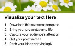 Summer time daisies nature powerpoint templates and powerpoint backgrounds 0311