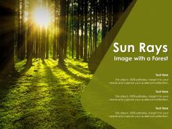Sun rays image with a forest