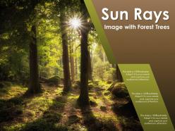 Sun rays image with forest trees