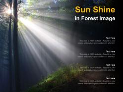 Sun shine in forest image