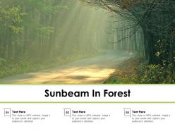 Sunbeam in forest