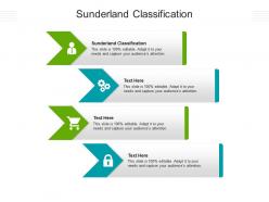Sunderland classification ppt powerpoint presentation infographics layout ideas cpb