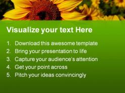 Sunflower01 nature powerpoint templates and powerpoint backgrounds 0211