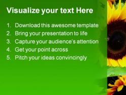 Sunflower beauty abstract powerpoint templates and powerpoint backgrounds 0211