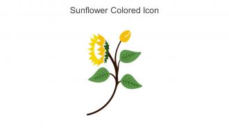 Sunflower Colored Icon In Powerpoint Pptx Png And Editable Eps Format