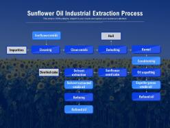 Sunflower Oil Industrial Extraction Process