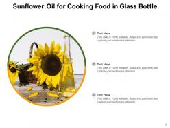 Sunflower Oil Process Healthy Comparative Extraction Procedure Industrial