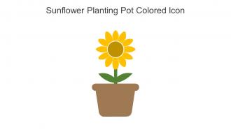 Sunflower Planting Pot Colored Icon In Powerpoint Pptx Png And Editable Eps Format