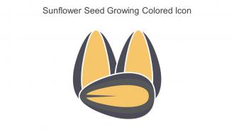 Sunflower Seed Growing Colored Icon In Powerpoint Pptx Png And Editable Eps Format