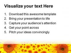 Sunflower summer nature powerpoint backgrounds and templates 1210