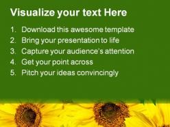 Sunflowers01 nature powerpoint templates and powerpoint backgrounds 0311