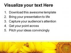 Sunflowers beauty powerpoint templates and powerpoint backgrounds 0311
