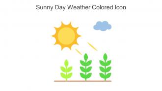 Sunny Day Weather Colored Icon In Powerpoint Pptx Png And Editable Eps Format