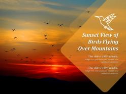 Sunset view of birds flying over mountains
