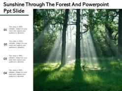 Sunshine through the forest and powerpoint ppt slide