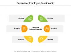 Supervisor employee relationship ppt powerpoint presentation outline structure cpb