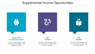 Supplemental Income Opportunities Ppt Powerpoint Presentation Infographics Files Cpb