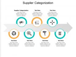 Supplier categorization ppt powerpoint presentation designs cpb