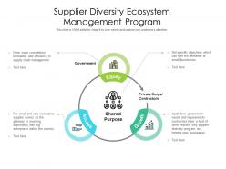 Supplier diversity ecosystem management program